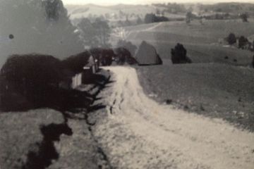 The original driveway at Whitford