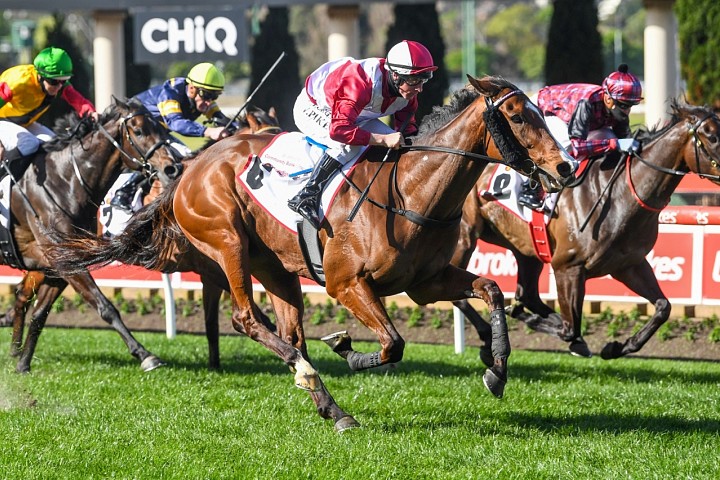 Randwick resumption likely for Showmanship