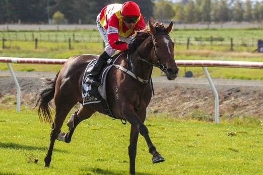It's Belsanto shoots for hat-trick at Timaru