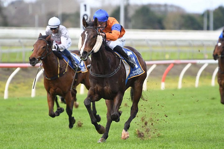Blinkered approach to help Guineas contender