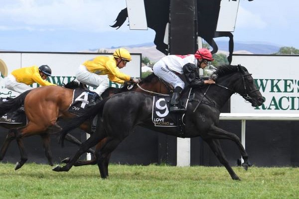 Sudbina set to chase black-type destiny after Hastings victory