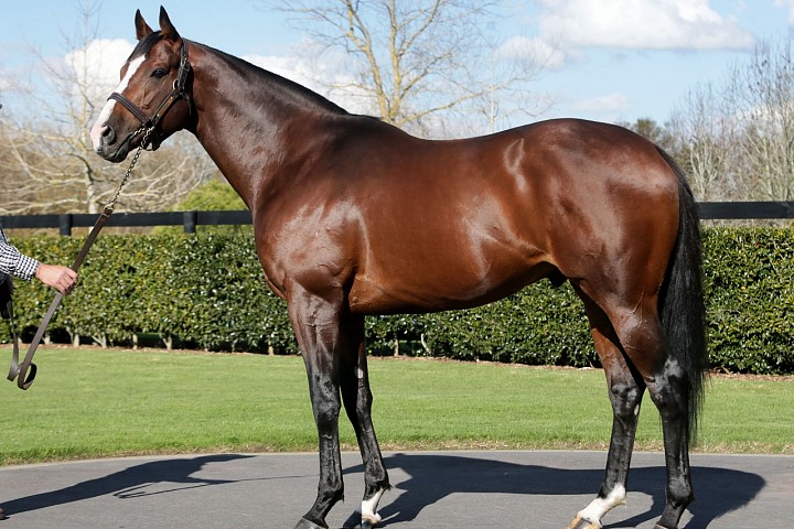 Belardo's Sire Lope De Vega to the Fore Again