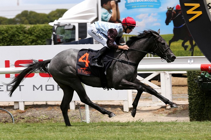 Showcasing Filly Heading to Manawatu Sires'