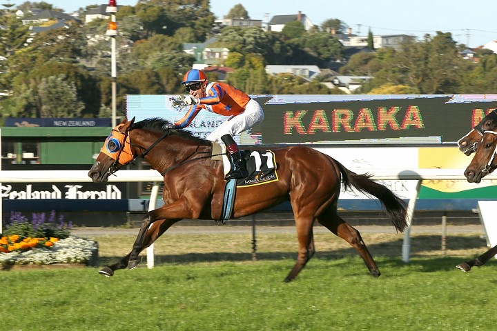 Haunui Grad  Melody Belle Delivers in Tarzino