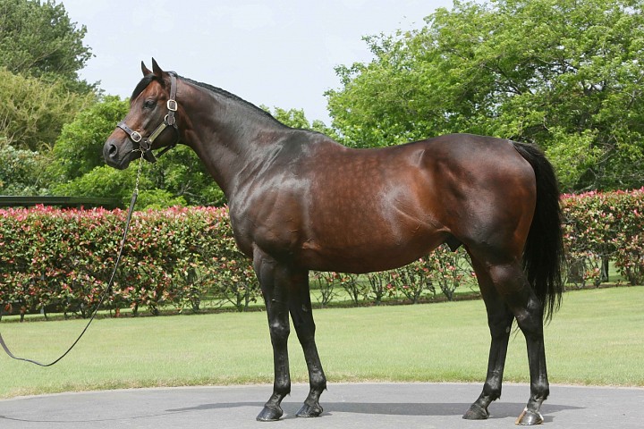 Another Australian G1 for Iffraaj