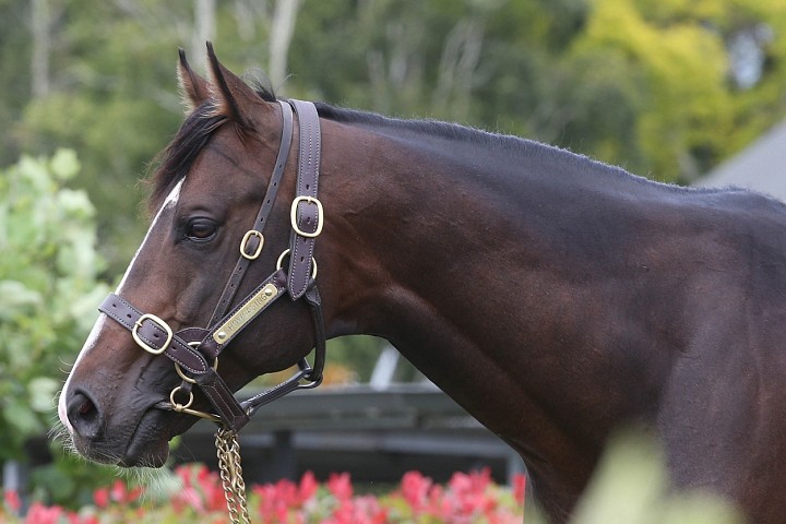 Showcasing Filly Wins French 1000 Guineas Trial