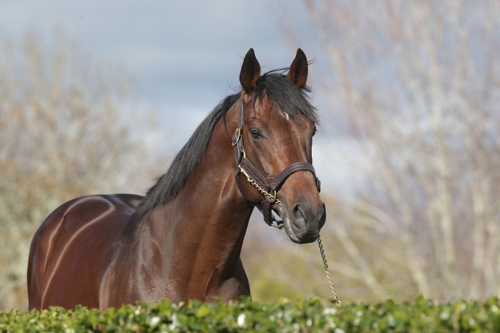 Plenty of Praise for Progeny of Ribchester