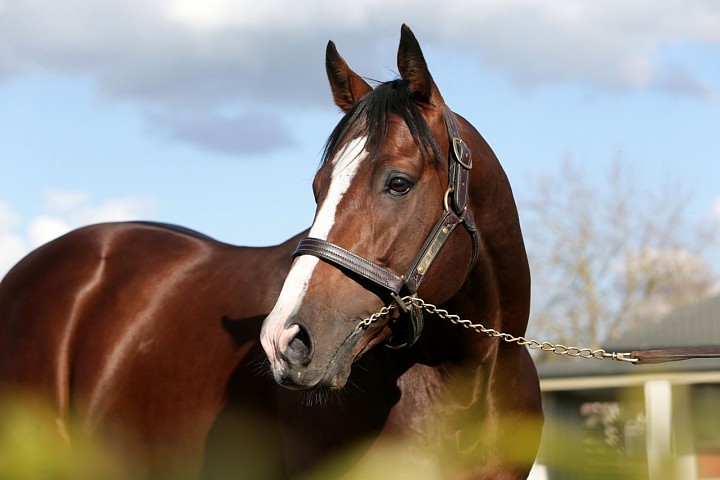 Another Stakes Win for Belardo Filly