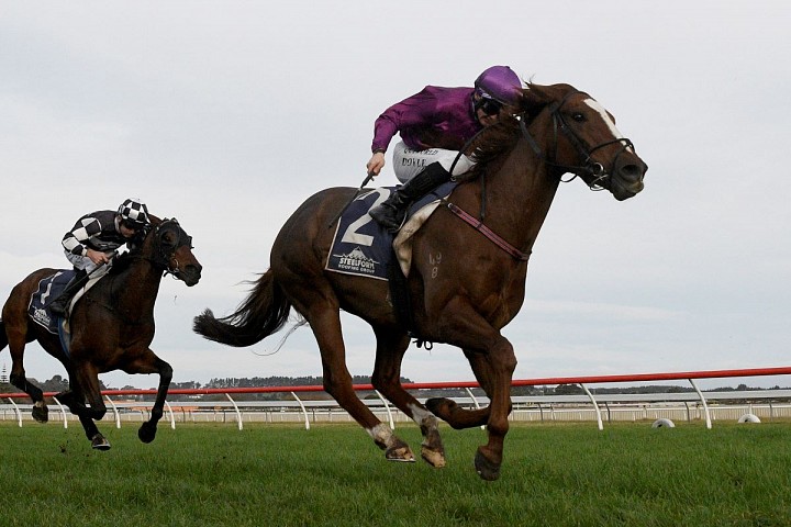 Belardo Boy back to winning form at Wanganui