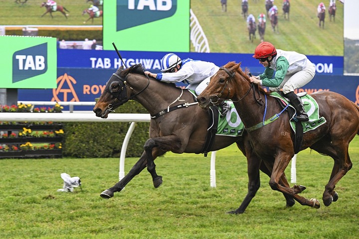 Victory Roll provides big return for new connections