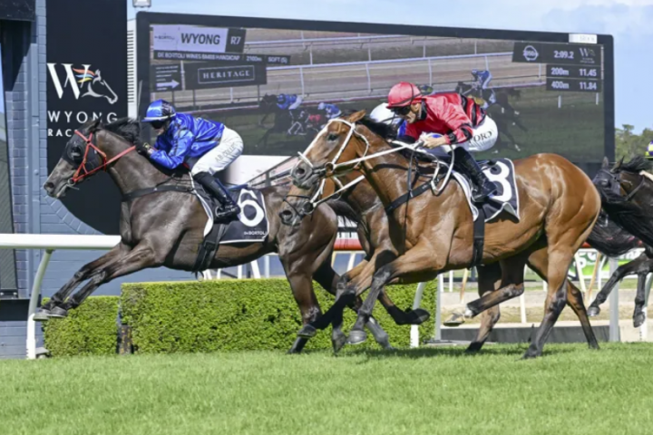 Australia Day Cup target for Bullets High