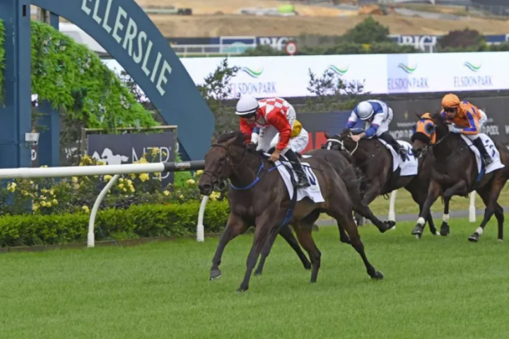 Barneswood Farm go back-to-back in Aotearoa Classic