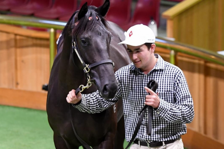 Chitty Named 2024 NZTR McKenzie Future Leaders Scholarship Recipient 