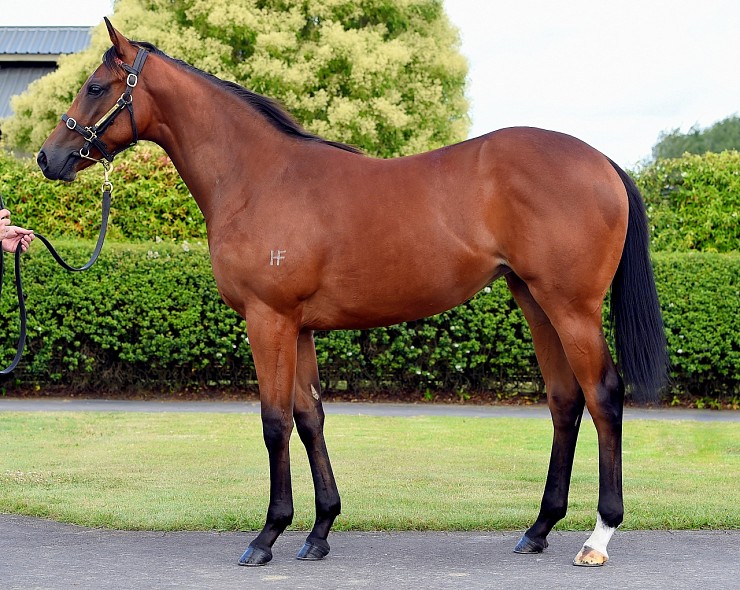 Lot: 639, Ba Filly